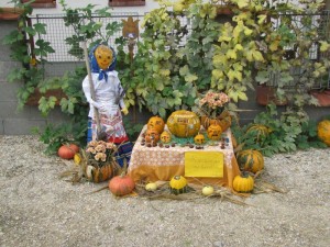 tokfesztival03