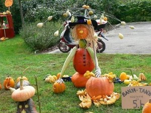 tokfesztival07
