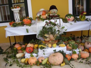 tokfesztival09