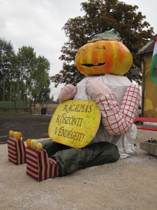 tokfesztival17 