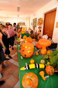 tokfesztival22 