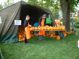 tokfesztival28 