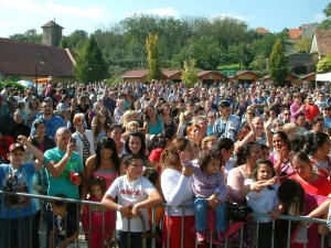 tokfesztival29 